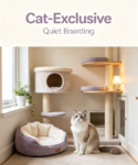Cat‑Exclusive Quiet Boarding