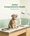 Senior Comprehensive Health Assessment